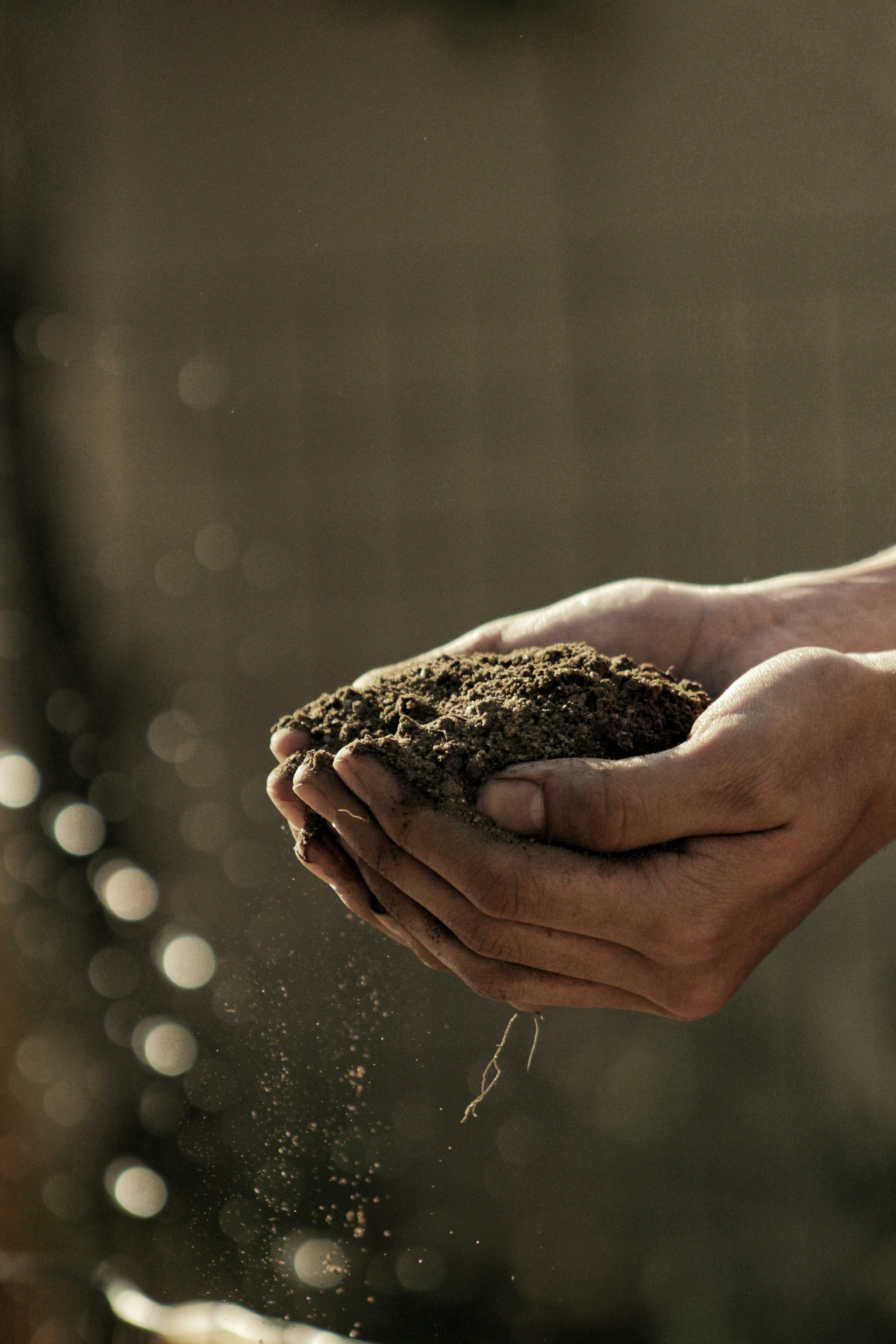 Vermicompost Training